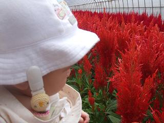 070708_010.JPG