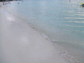 080907_026.JPG