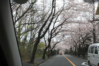 090405_017.JPG