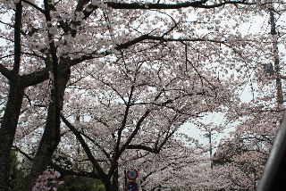 090405_018.JPG