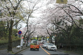 090405_020.JPG