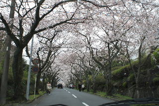 090405_023.JPG