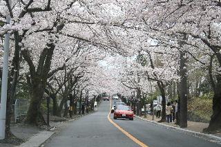 090405_027.JPG