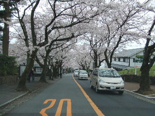 090405_028.JPG