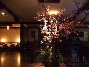 100504_062.JPG