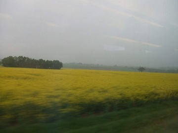 100506_010.JPG