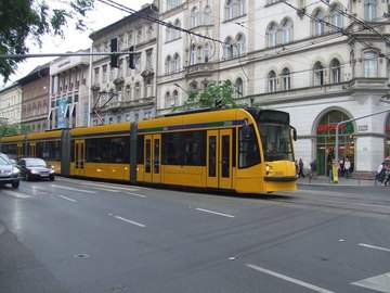 100506_080.JPG
