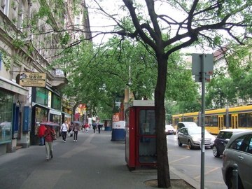 100506_081.JPG