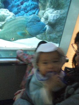 111211_024.JPG