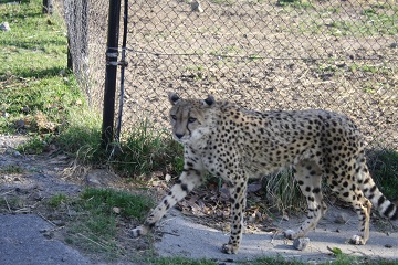 130428_050.JPG