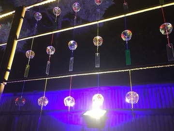180813_080.JPG