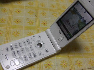 P902i.JPG